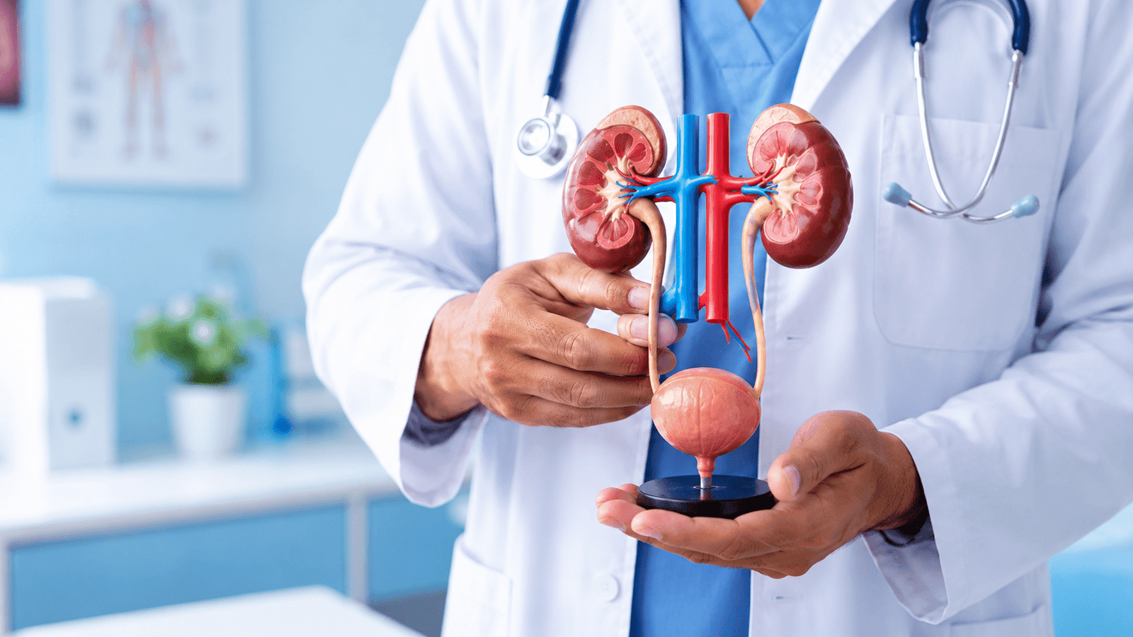 Best urologist in India examining a patient