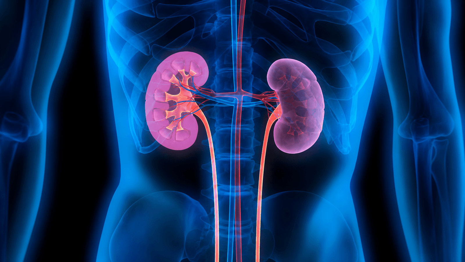 Best nephrologist in India — verified kidney specialist profiles