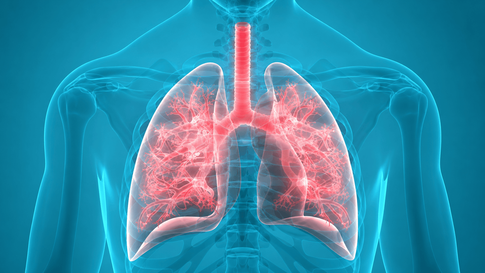 Best pulmonologist in India — verified lung specialist profiles