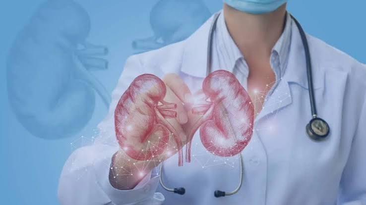 Nephrology