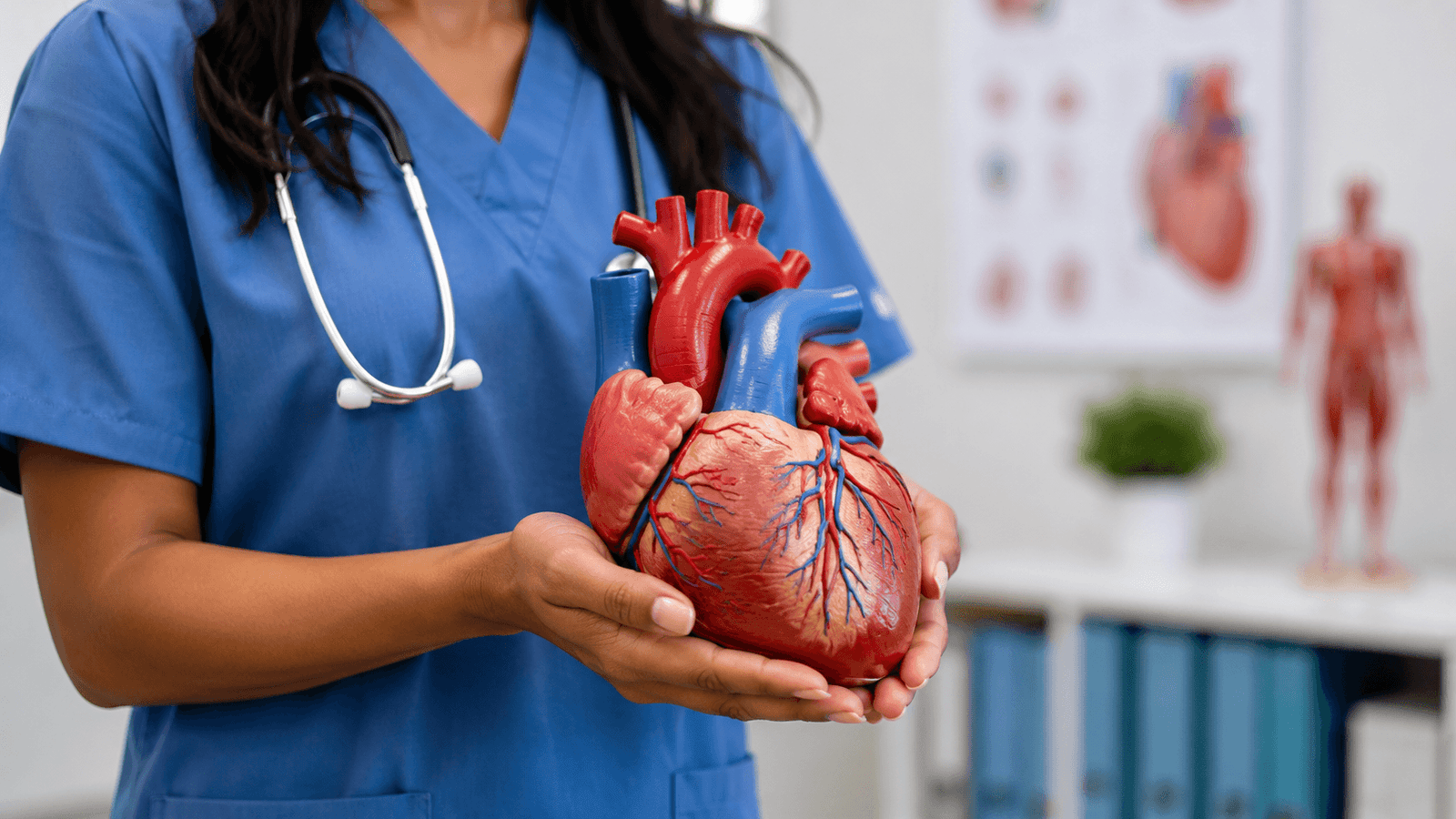 Best cardiologists in India — verified heart specialist profiles