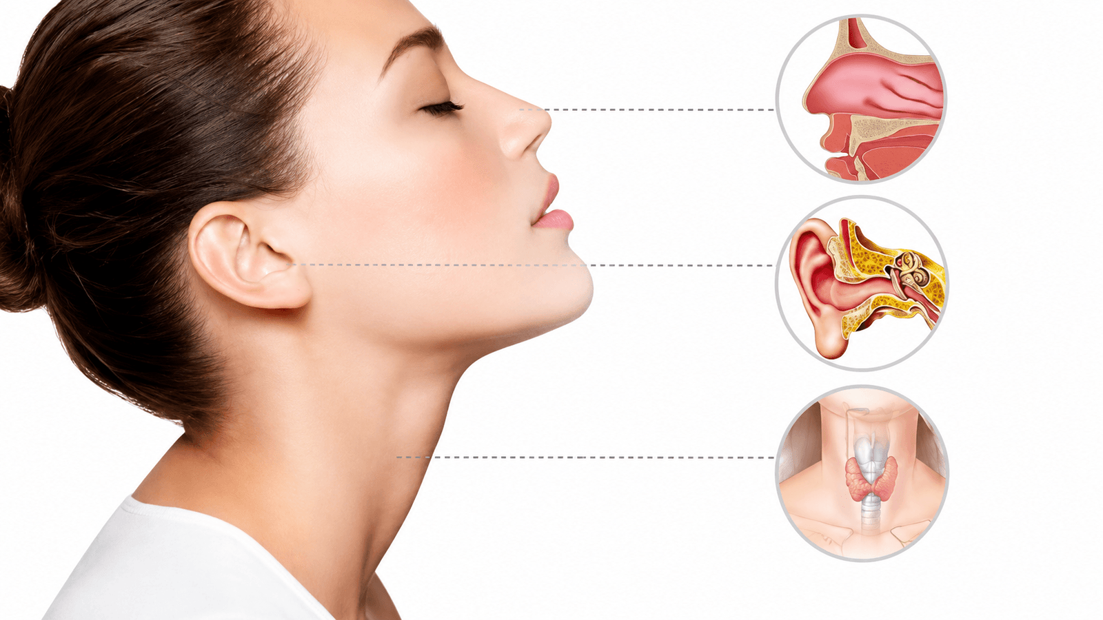 Best ENT specialist in India — verified ear nose throat doctor profiles