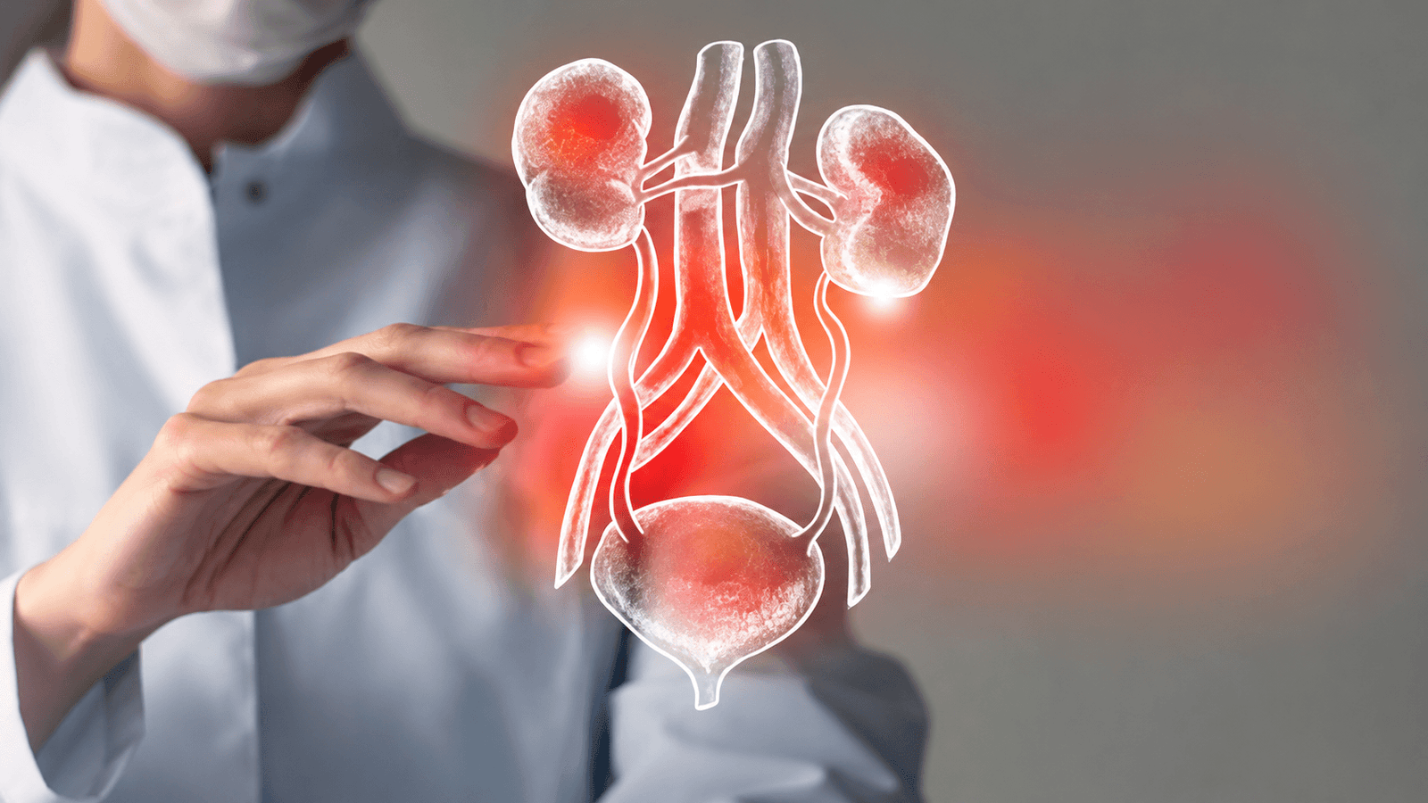 Best urologist in India — verified urinary tract specialist profiles