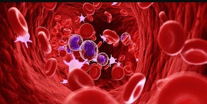 Haematology