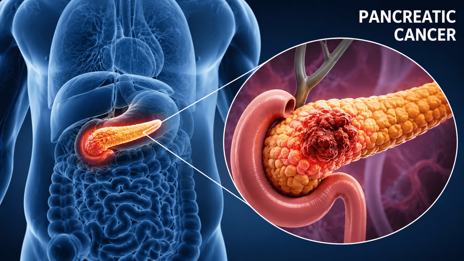 Hepatobiliary and pancreatic surgeon reviewing imaging before a Whipple procedure